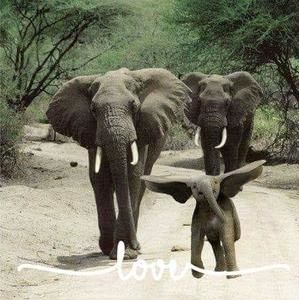 Meet your Posher, Sherry